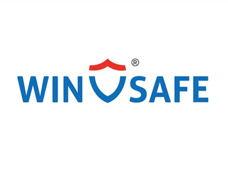 Wu upgrade WINSAFE Logo